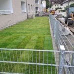 WhatsApp Image 2025-09-03 at 15.11.17 (2)